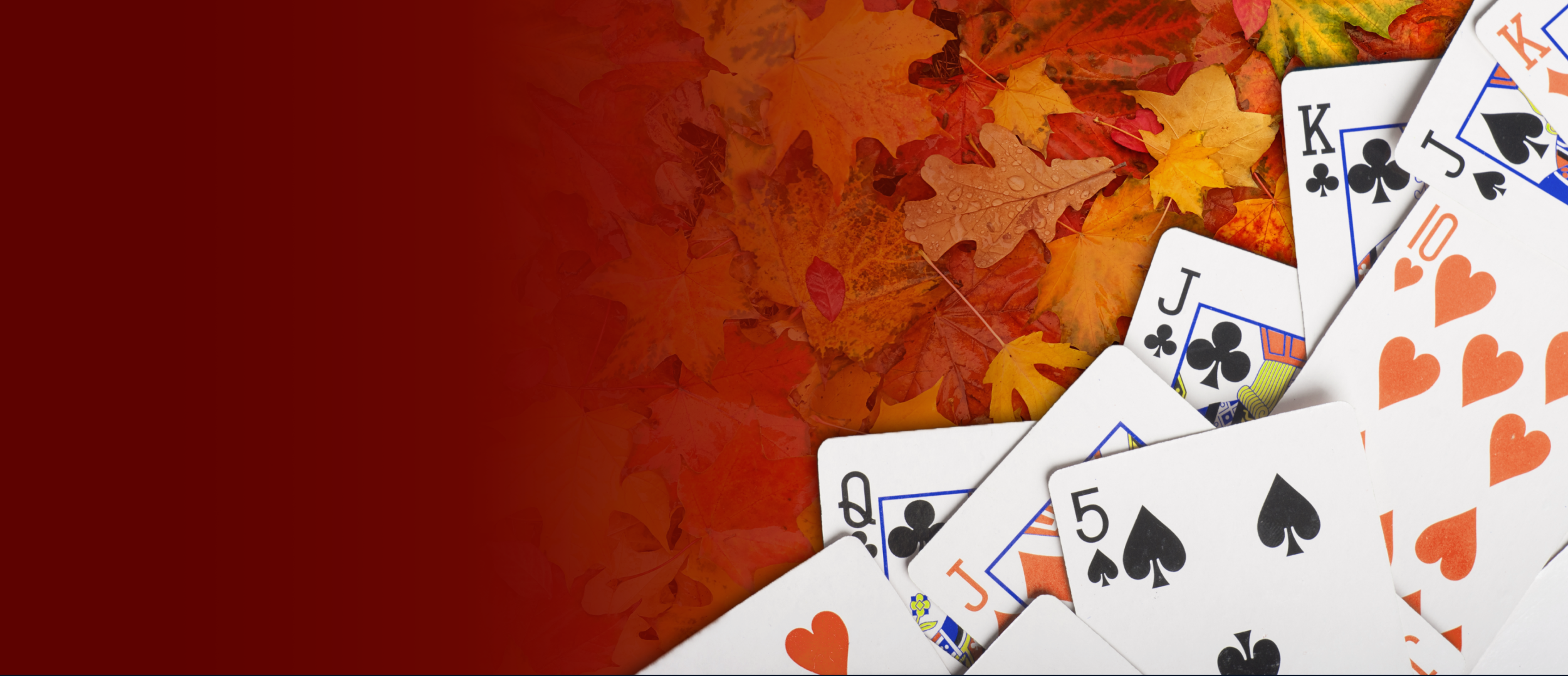 November 28th & 29th | Thanksgiving Weekend